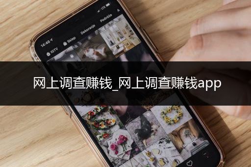 网上调查赚钱_网上调查赚钱app